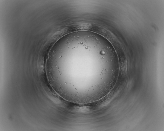 X0000112540553200908171444