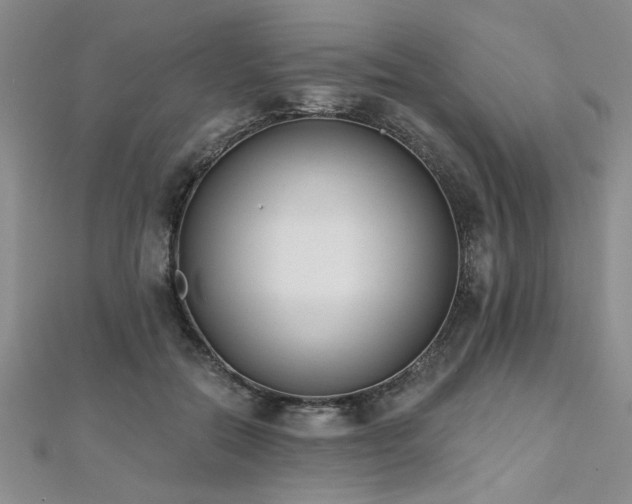X0000112540554200908171444