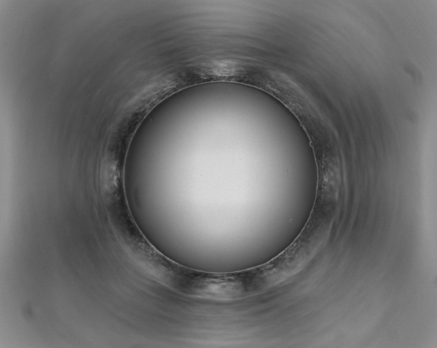 X0000112540555200908171444