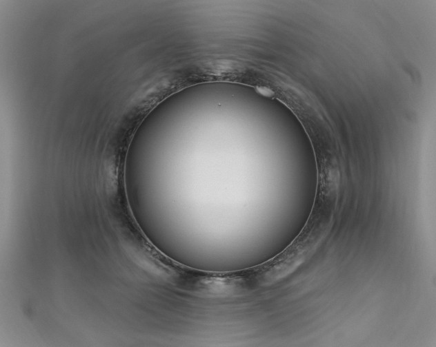 X0000112540558200908171444