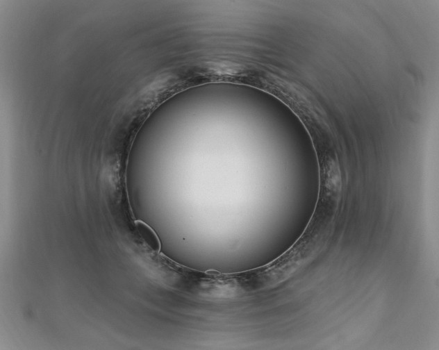 X0000112540559200908171444