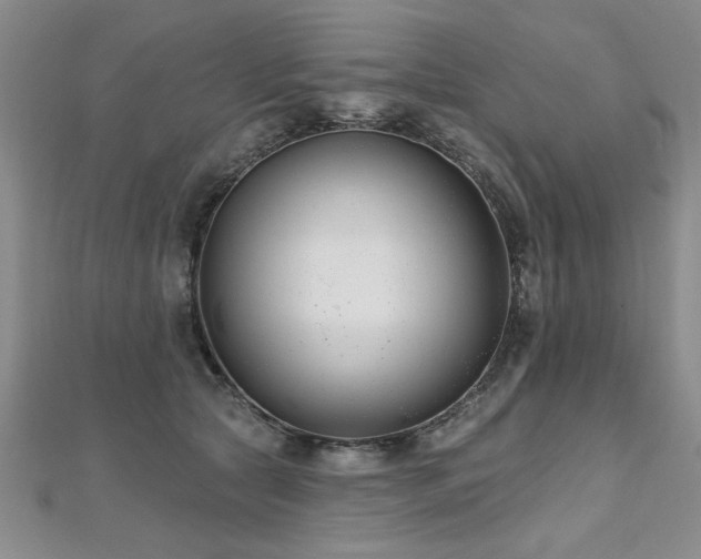X0000112540561200908171444