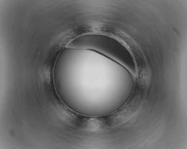 X0000112540562200908171445