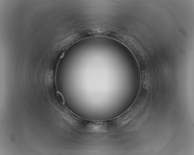 X0000112540563200908171445