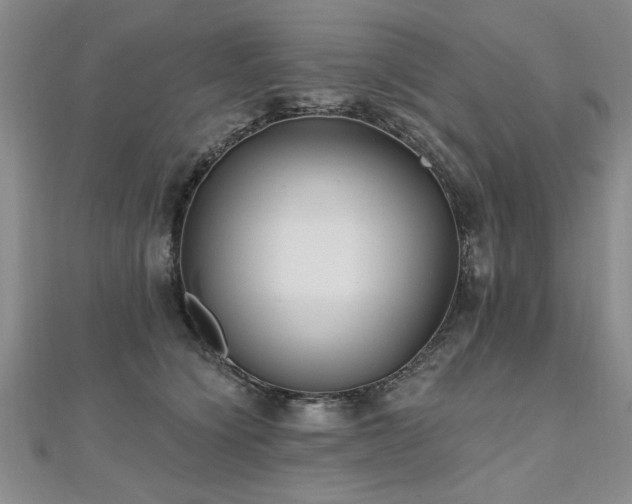 X0000112540564200908171445