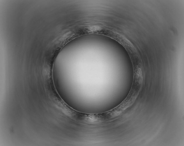 X0000112540565200908171445