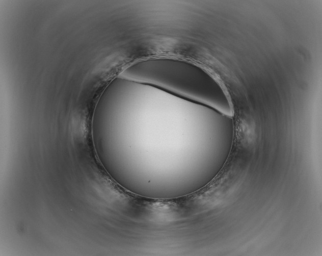 X0000112540566200908171445