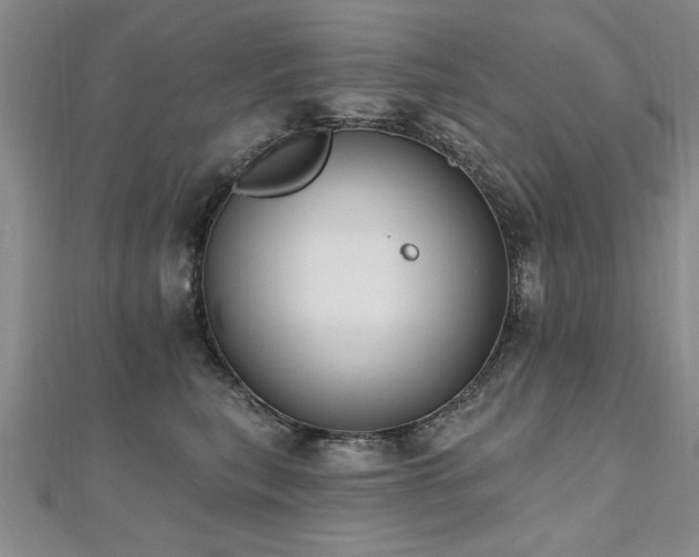 X0000112540567200908171445
