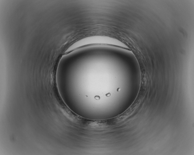 X0000112540568200908171445