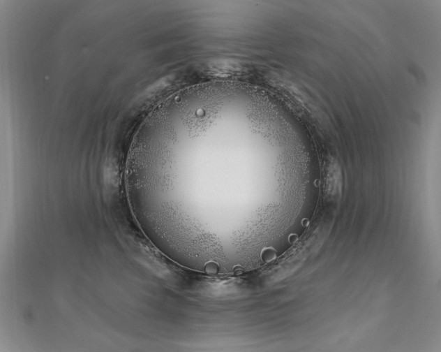 X0000112540569200908171445