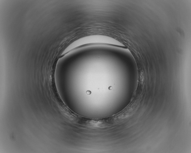 X0000112540570200908171445