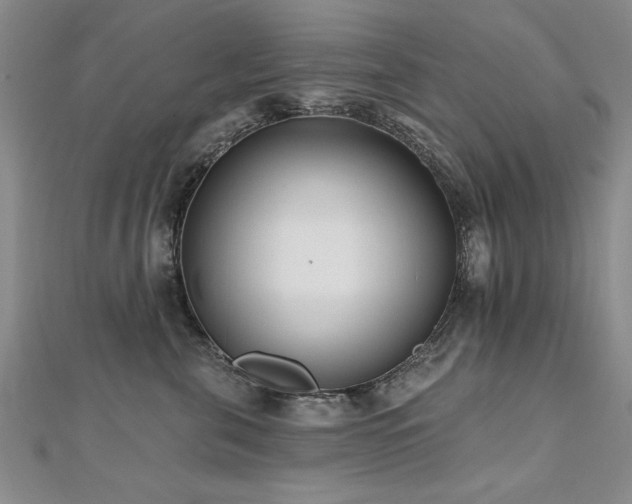 X0000112540571200908171445