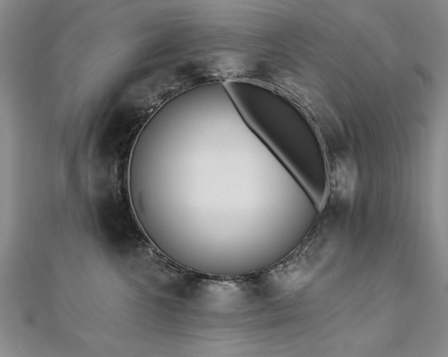 X0000112540572200908171445