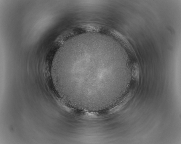 X0000112540573200908171445