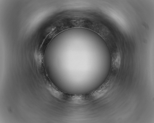 X0000112540574200908171445