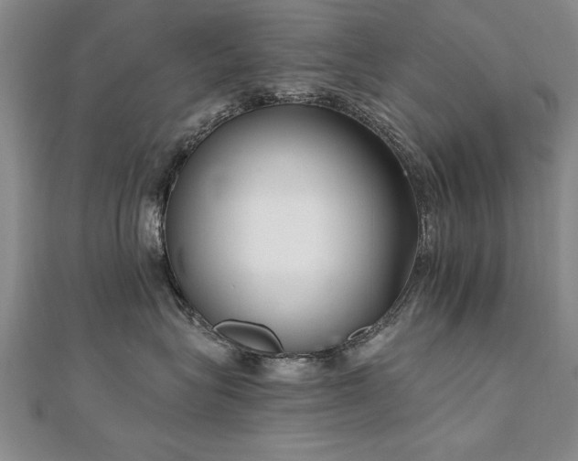 X0000112540575200908171445