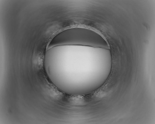 X0000112540576200908171445