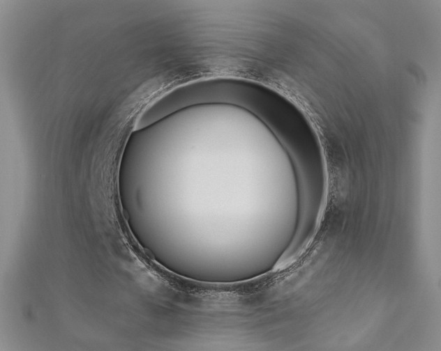 X0000112540577200908171444