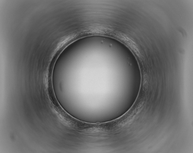 X0000112540578200908171444