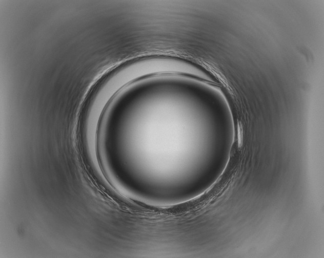 X0000112540579200908171444