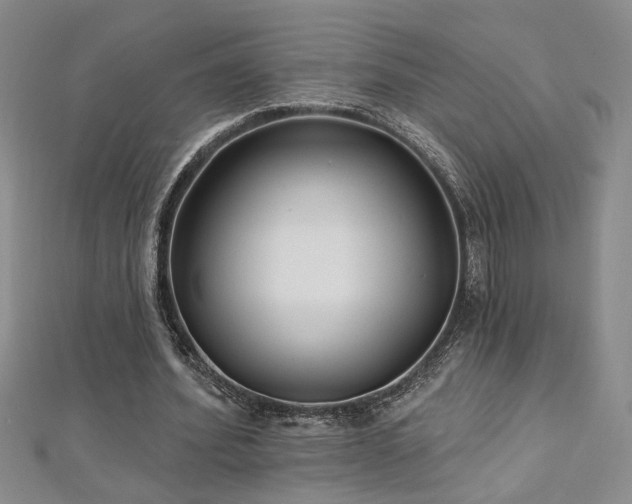 X0000112540580200908171444