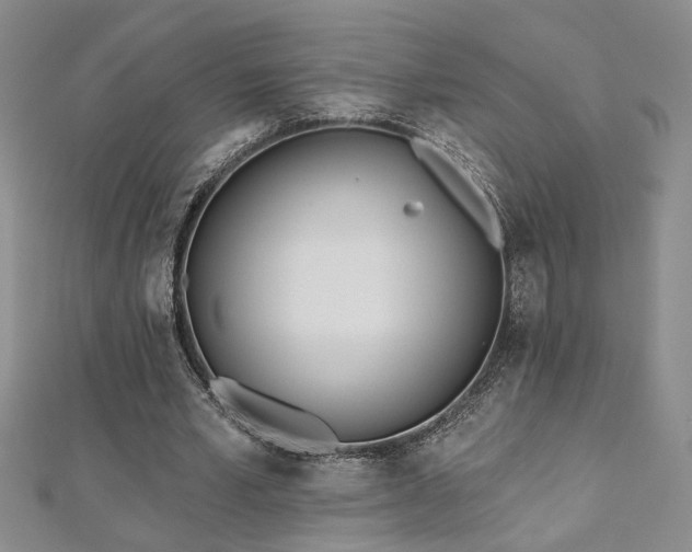 X0000112540581200908171444