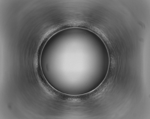 X0000112540582200908171444