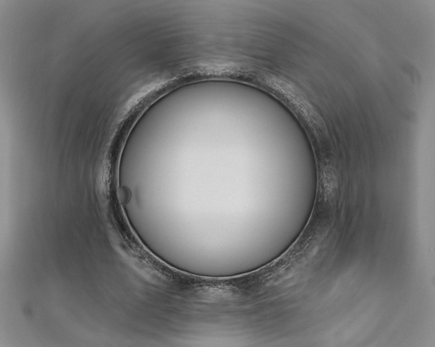 X0000112540583200908171444