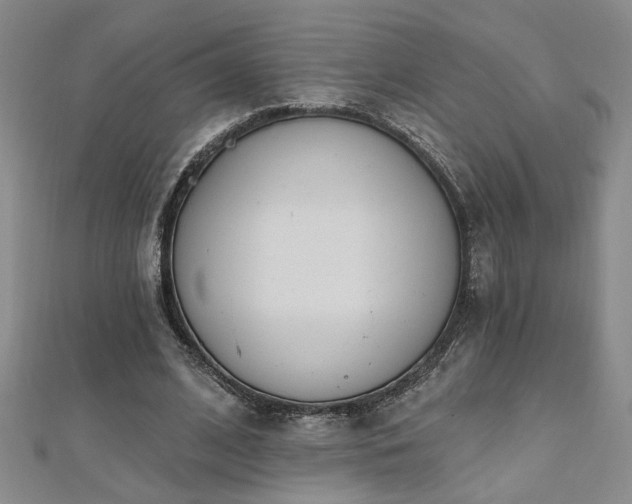 X0000112540584200908171444