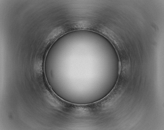X0000112540585200908171444