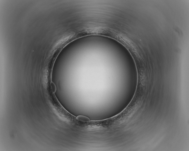 X0000112540586200908171444