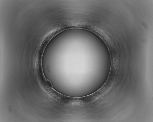 X0000112540587200908171444