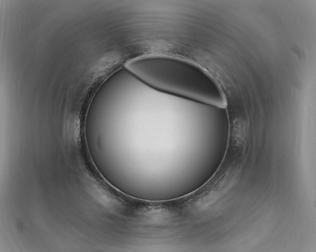 X0000112540589200908171444