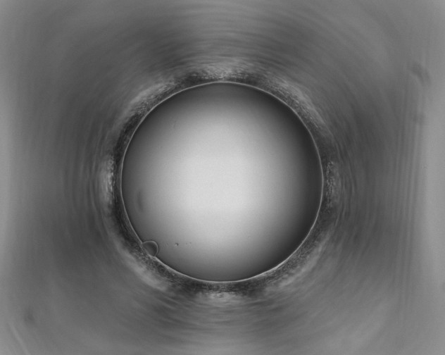 X0000112540590200908171444