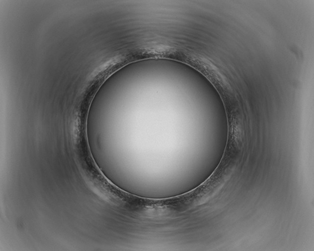 X0000112540591200908171444