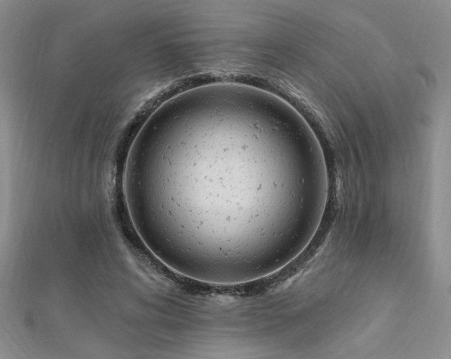 X0000112540592200908171444