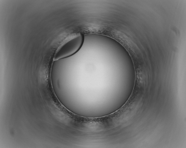 X0000112540593200908171444