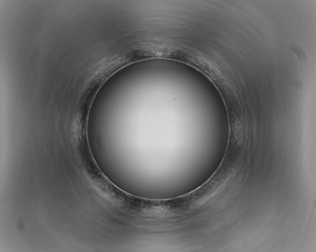 X0000112540594200908171444