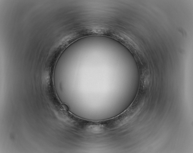 X0000112540595200908171444