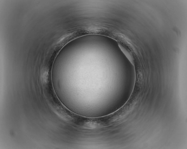X0000112540596200908171444