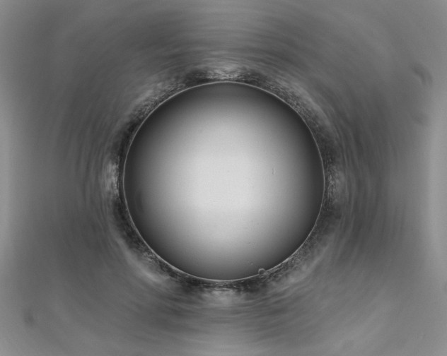 X0000112540598200908171444