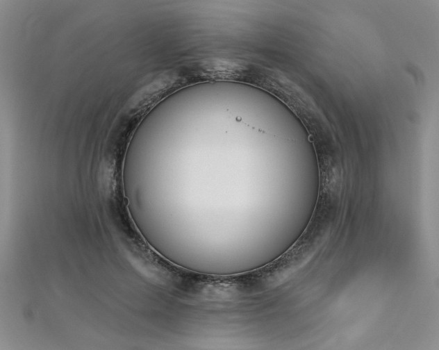 X0000112540599200908171444