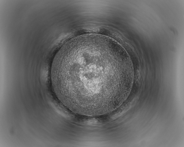 X0000112540600200908171444