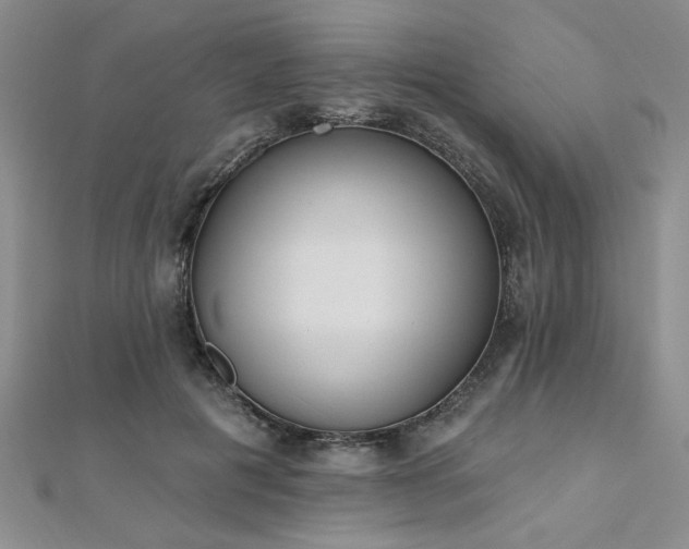 X0000112540601200908171444