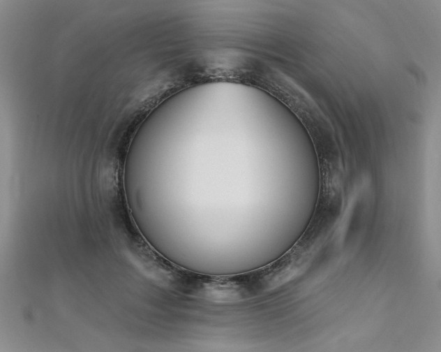 X0000112540603200908171444