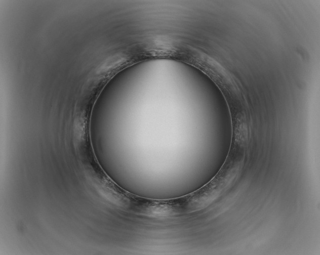 X0000112540604200908171444