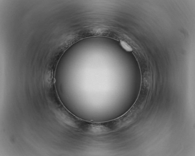 X0000112540605200908171444