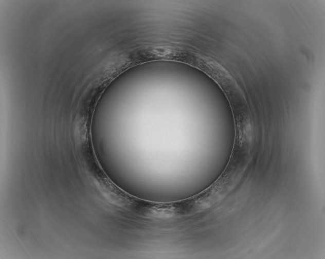 X0000112540606200908171444