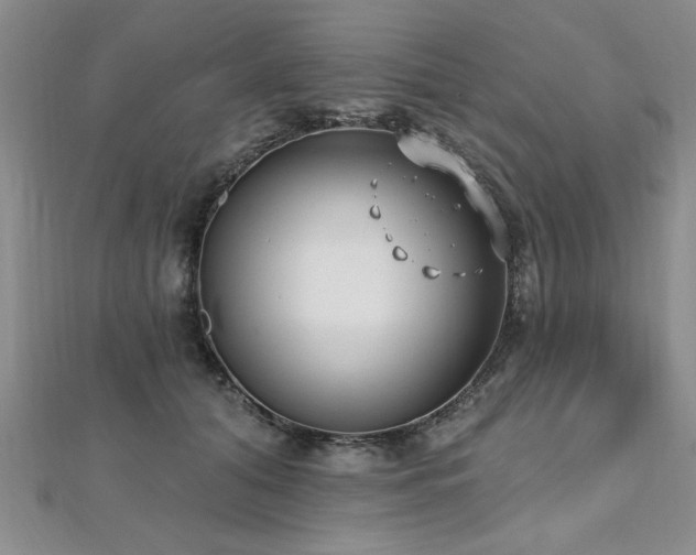X0000112540608200908171444