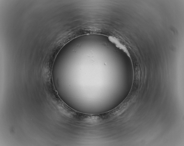 X0000112540609200908171444
